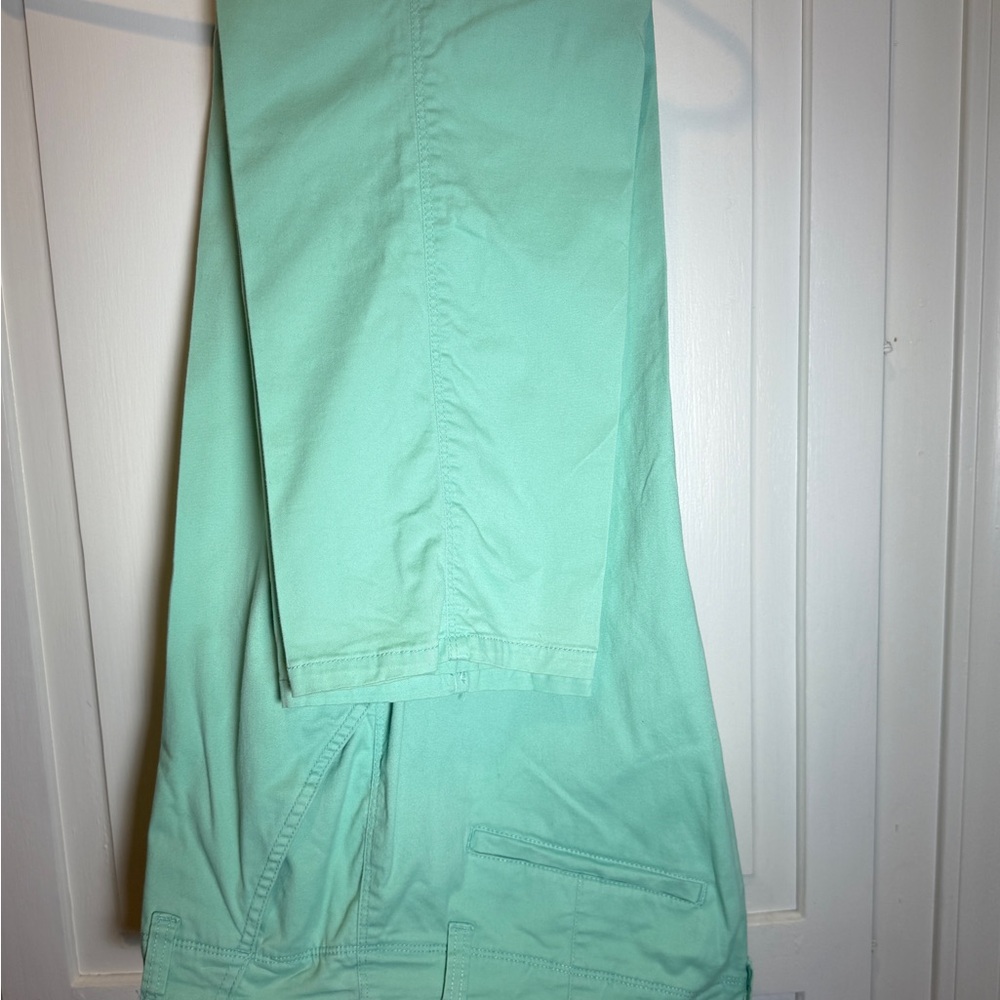 Bandolino Light Green Pants, style Michelle